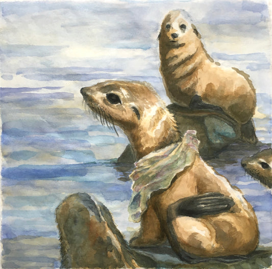 Dying Seals, 21cm x 21cm, 2017.