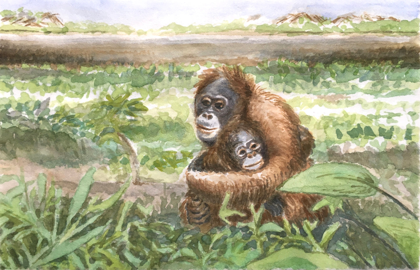 Exposed, 29cm x 24cm, 2017.