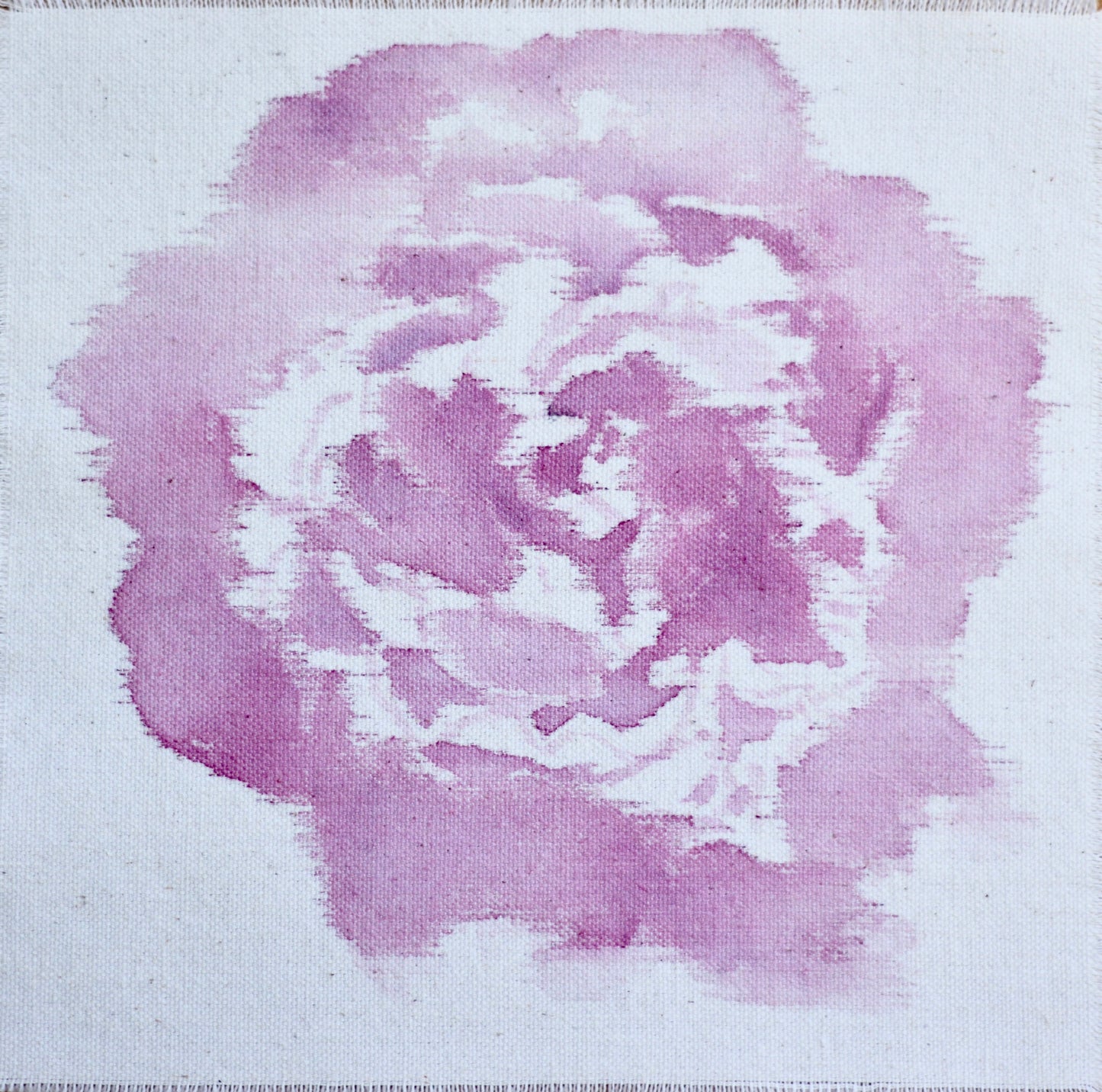 Edulus Superba Paeony, 32cm x 31cm, 2016.