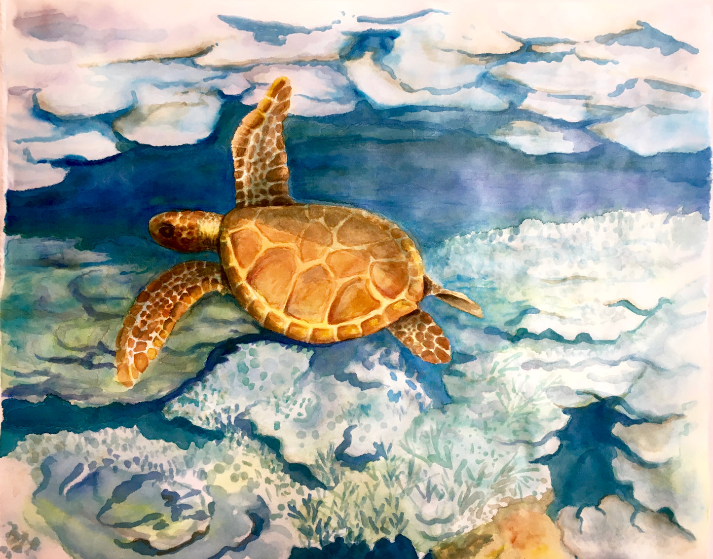 Reef Devastation, 45cm x 32cm, 2017.