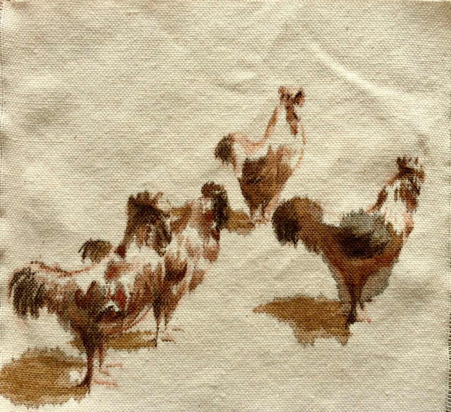 Roosters, 33cm x 33cm, 2014.