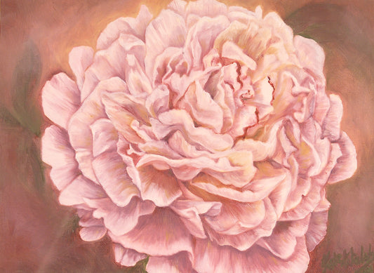 Sarah Bernhardt Paeony, 30cm x 40cm, 2001.