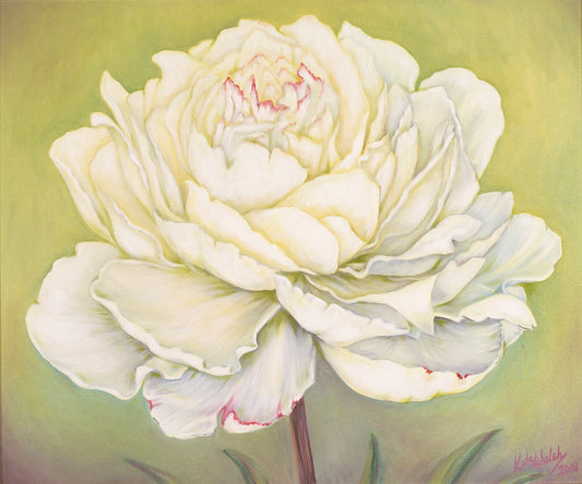 Festiva Maxima Paeony, 50cm x 60cm, 2001.