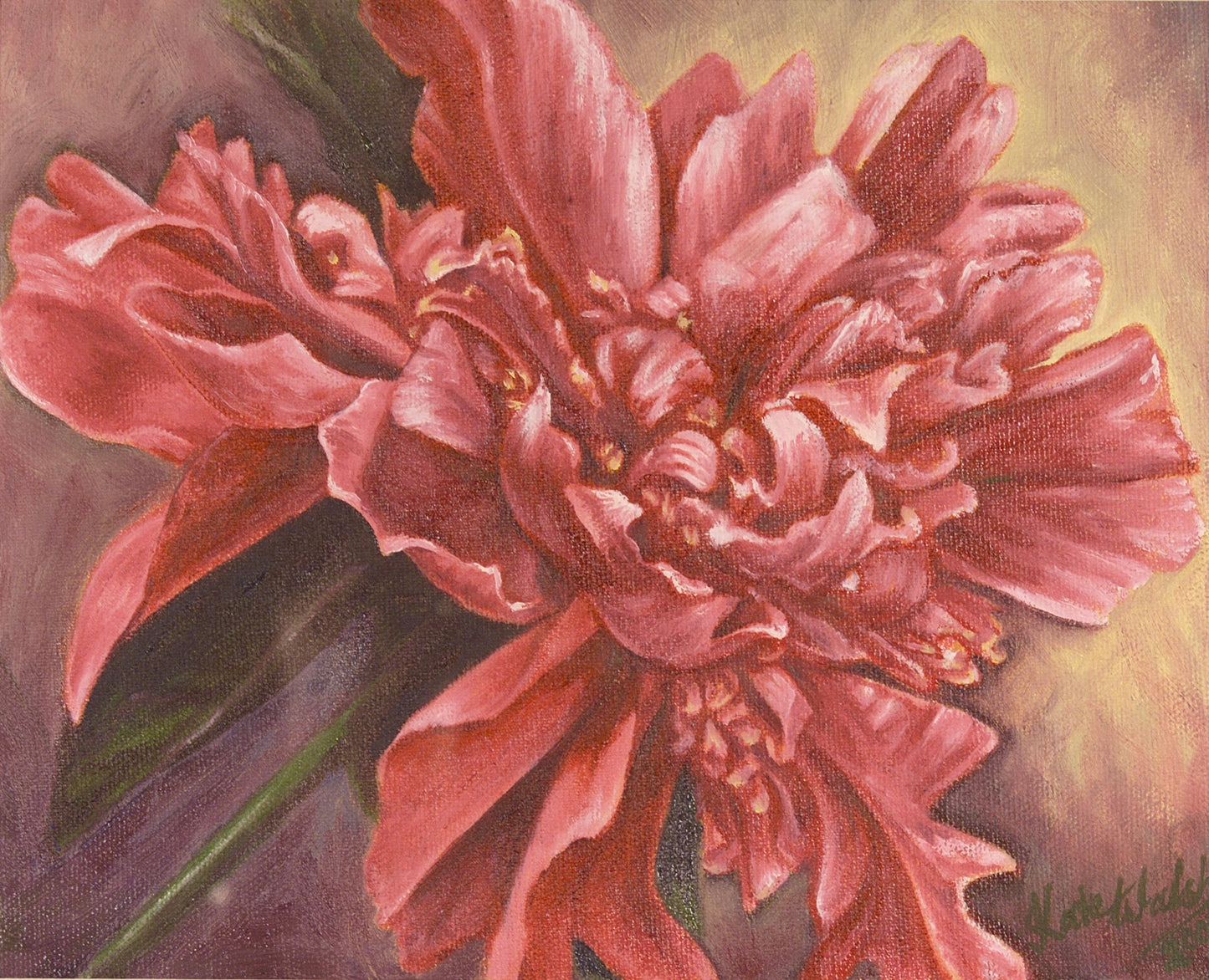 Dr. Alexander Fleming Paeony, 30cm x 40cm, 2001.