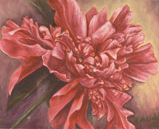 Dr. Alexander Fleming Paeony, 30cm x 40cm, 2001.