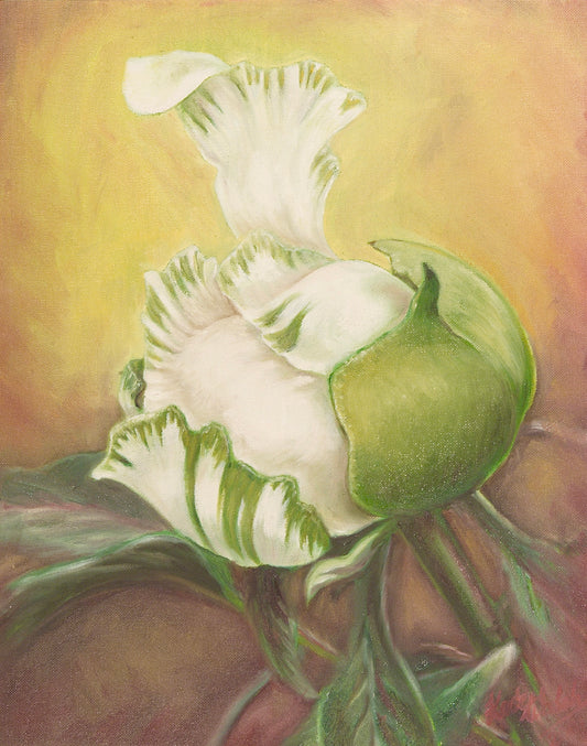 Green Variegated Paeony, 40cm x 30cm, 2004.