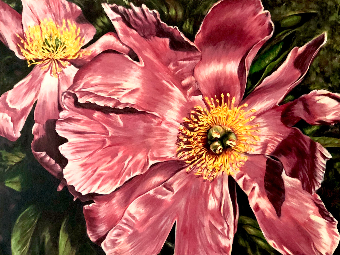 Pink Tree Peony, 76cm x 102cm.