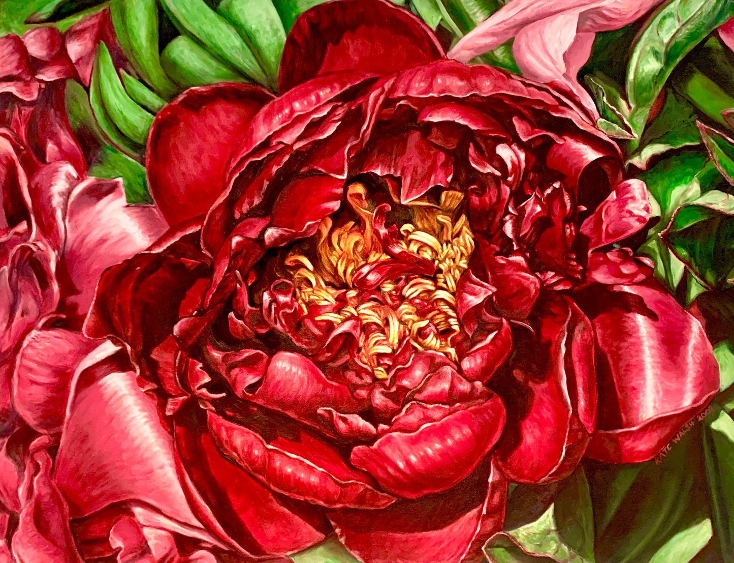 Buckeye Belle Joy, 65cm x 85cm, 2006.
