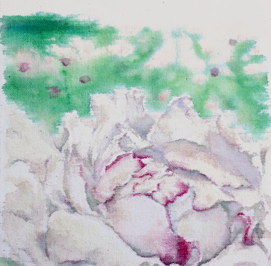 Festiva Maxima, 32cm x 31cm, 2016.