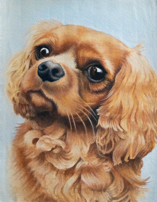 Tilly, 50cm x 40cm, 2019.