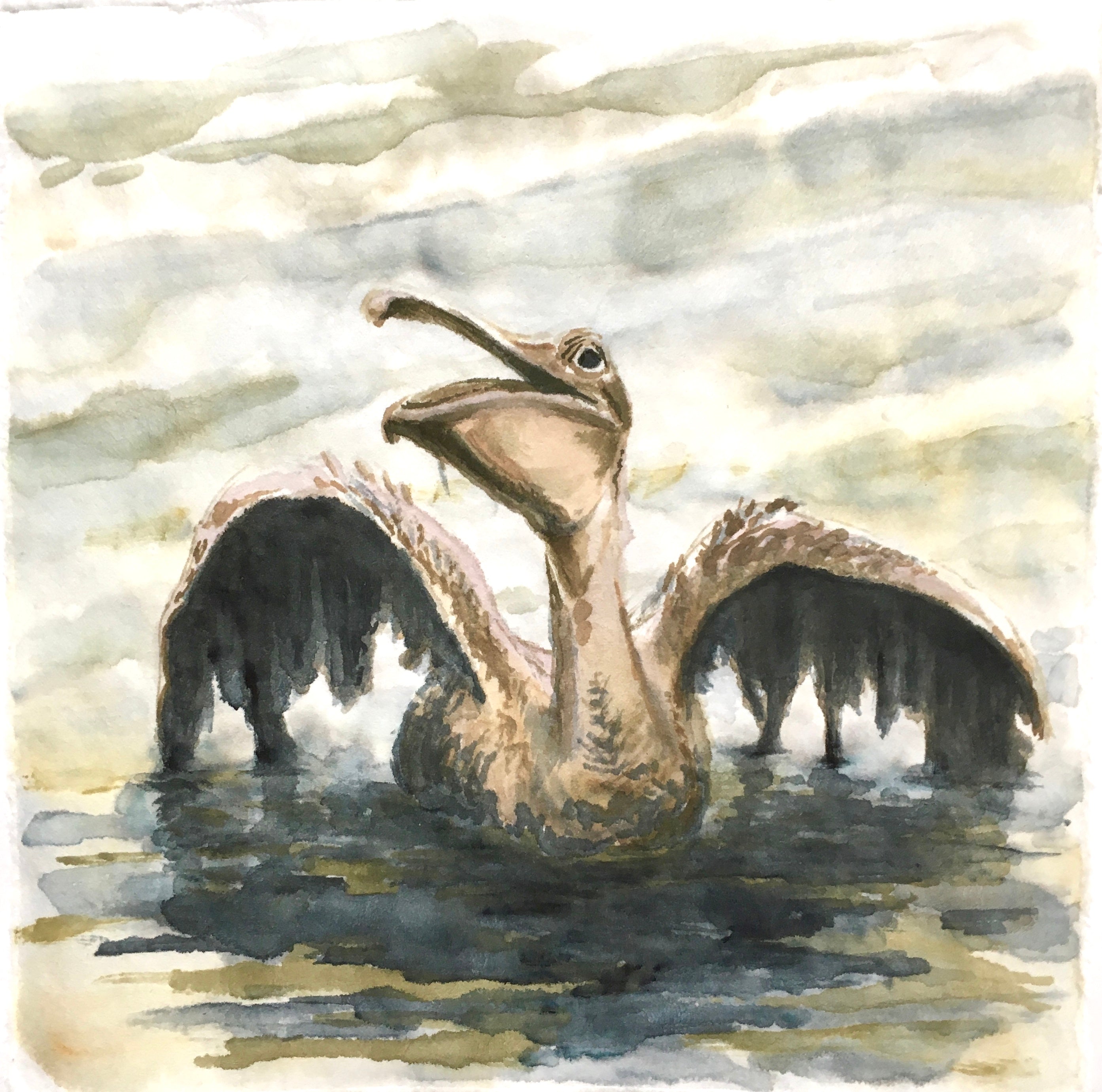 The Earth Speaks series, 2017 - Distressed Pelican, 21cm x 21cm