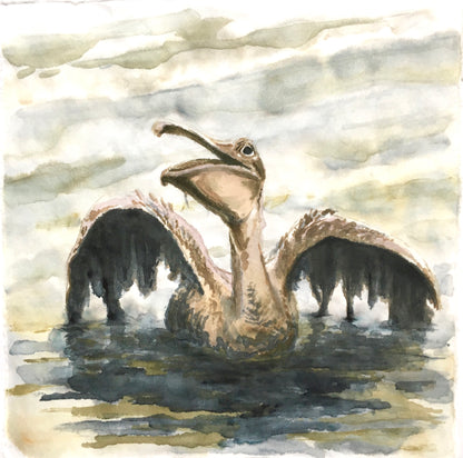 Distressed Pelican, 21cm x 21cm, 2017.