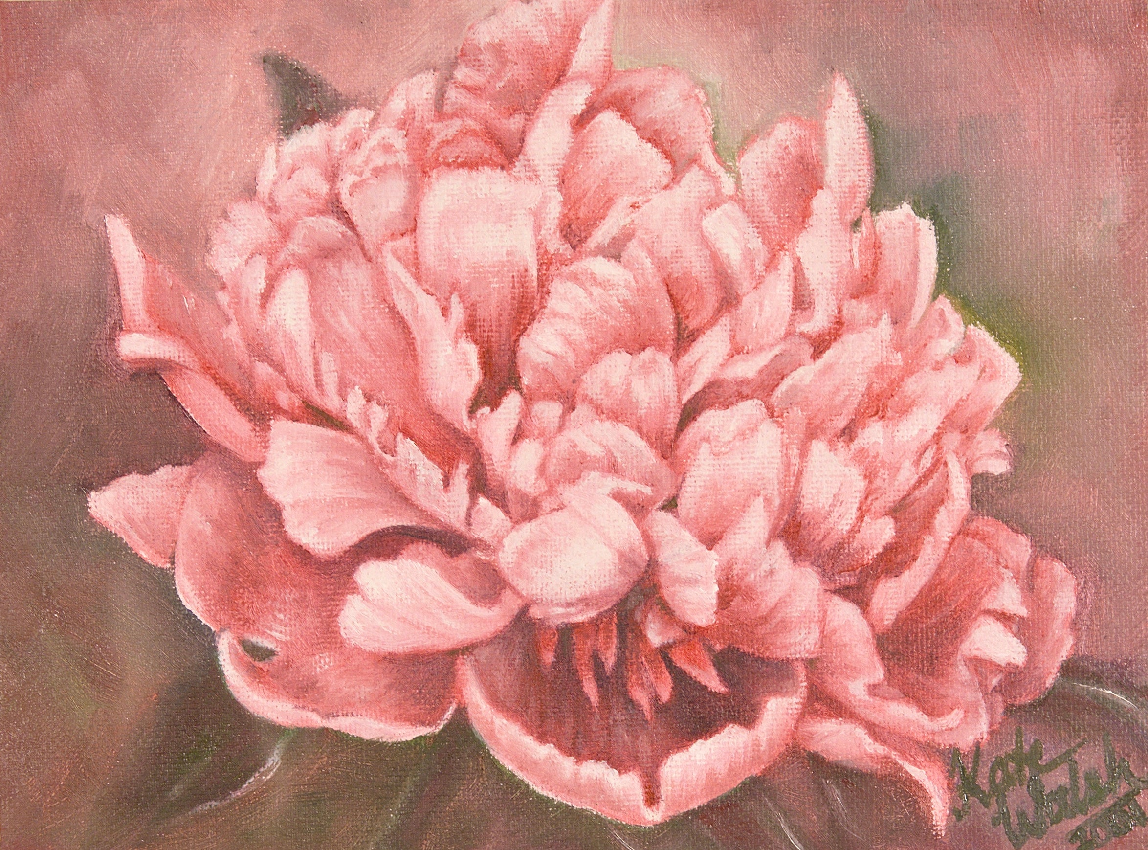 Kathryn Fontaine Paeony, 30cm x 40cm, Sold
